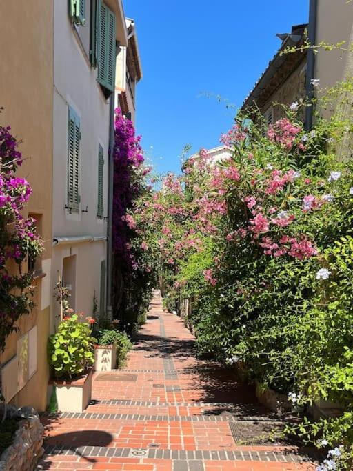 Strelizia - New Central Old Antibes For 4 Ac المظهر الخارجي الصورة