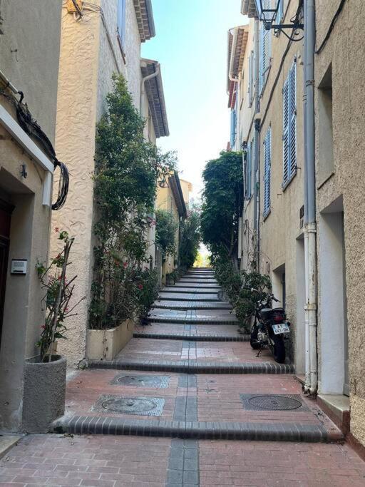 Strelizia - New Central Old Antibes For 4 Ac المظهر الخارجي الصورة